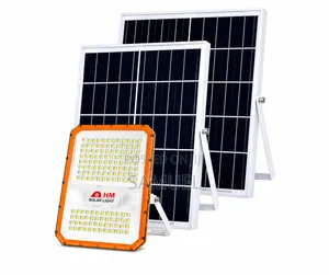 Flood Light