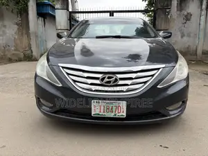 Hyundai Sonata 2011 Blue