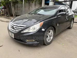 Hyundai Sonata 2011 Blue