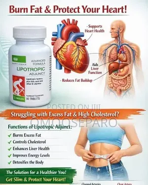 Supplement