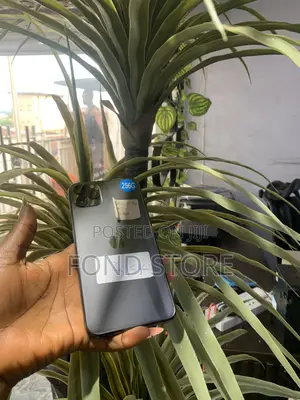 Apple iPhone 11 Pro Max 256 GB Gray