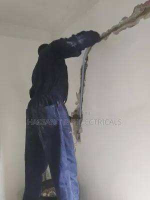 Professional Electrician