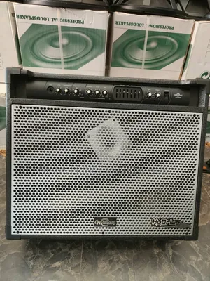Heavy-Duty Professional Bass Combo Amplifier