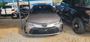 Toyota Corolla 2023 Brown