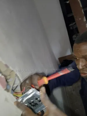Professional Electrician