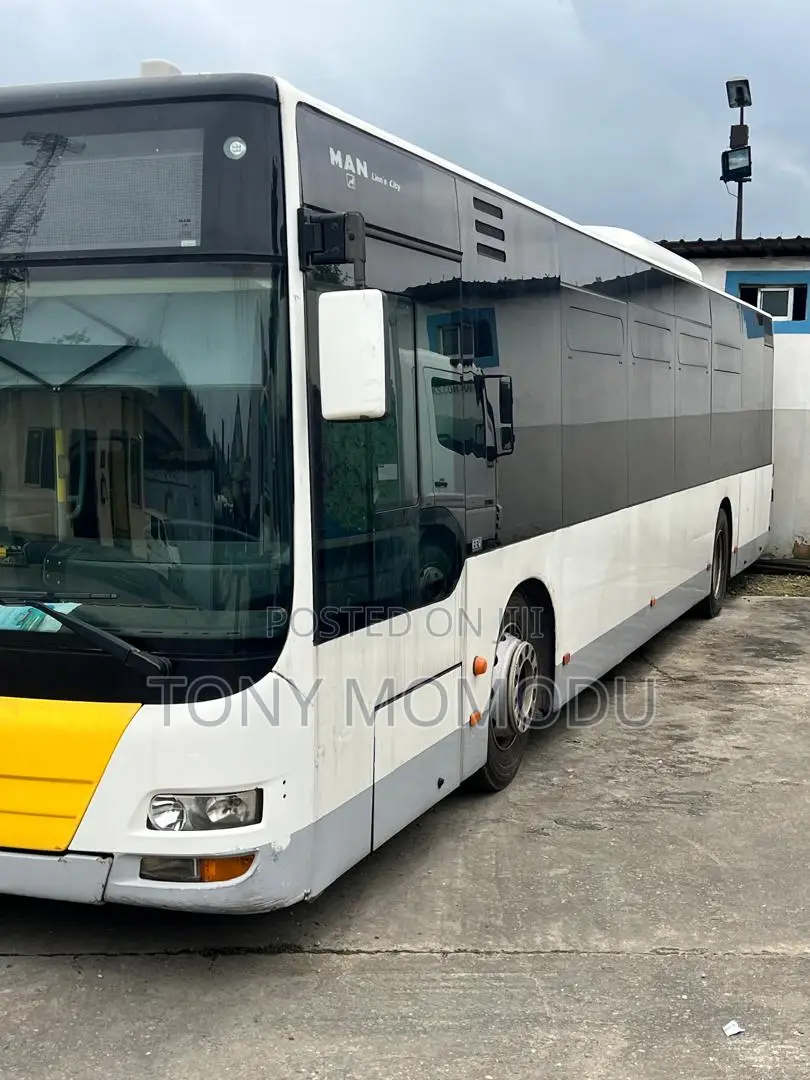 Bus 2010 White