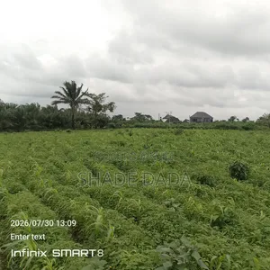 Buy and Land in Agbowa Save Envroment