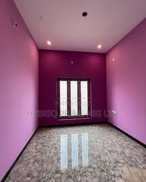 Expert Wall Finishing Painting
