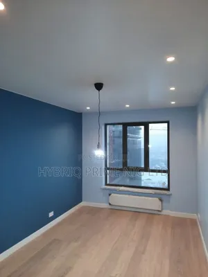 Professional Painting With Quality Materials