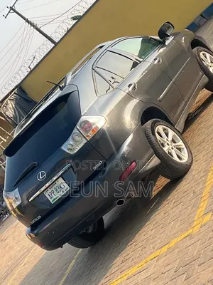 Lexus RX 2009 Gray