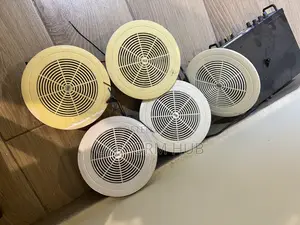Bluetooth Ceiling Speaker and Amplifier