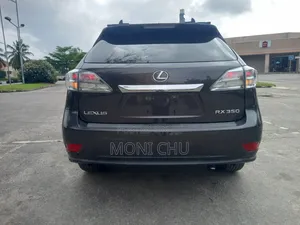 Lexus RX 2010 Purple