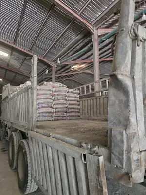 Premium Quality Cement – Fast Delivery in Lagos