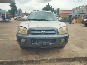 Hyundai Santa Fe 2006 Silver