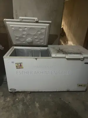 Haier Thermocool Double Door Deep Freezer