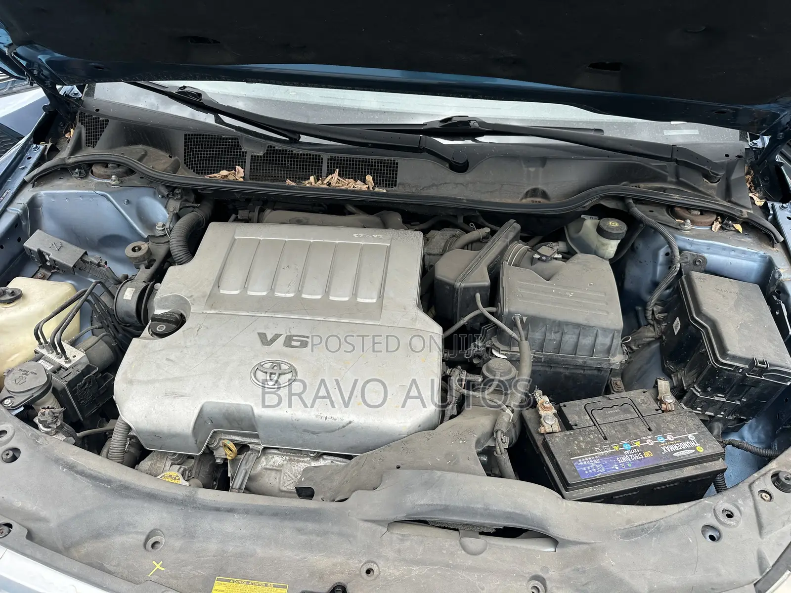 Toyota Venza XLE 2010 Blue