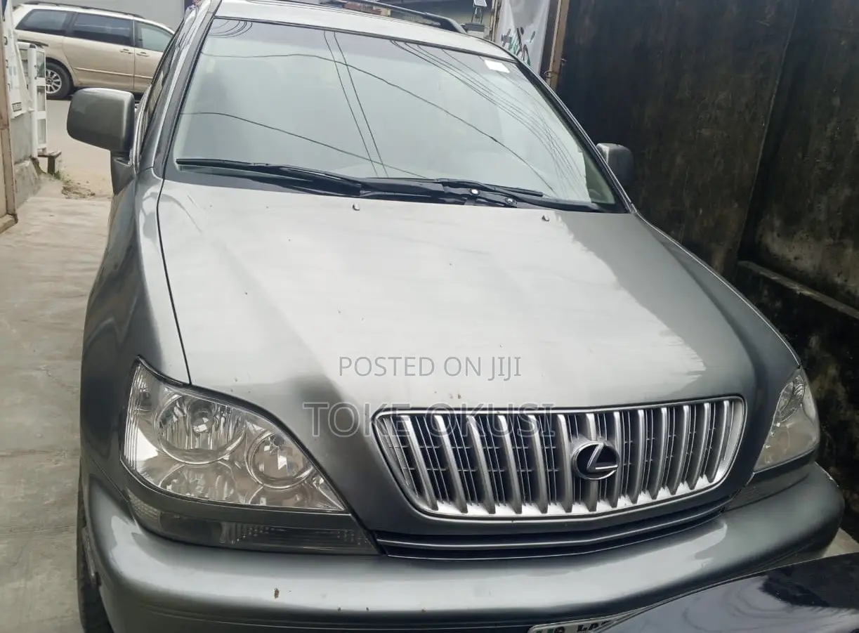 Lexus RX 2002 Gray
