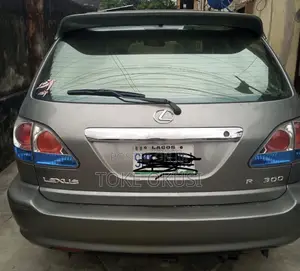 Lexus RX 2002 Gray