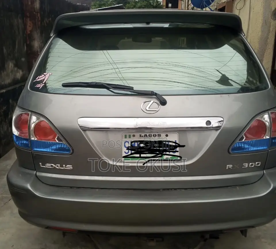 Lexus RX 2002 Gray
