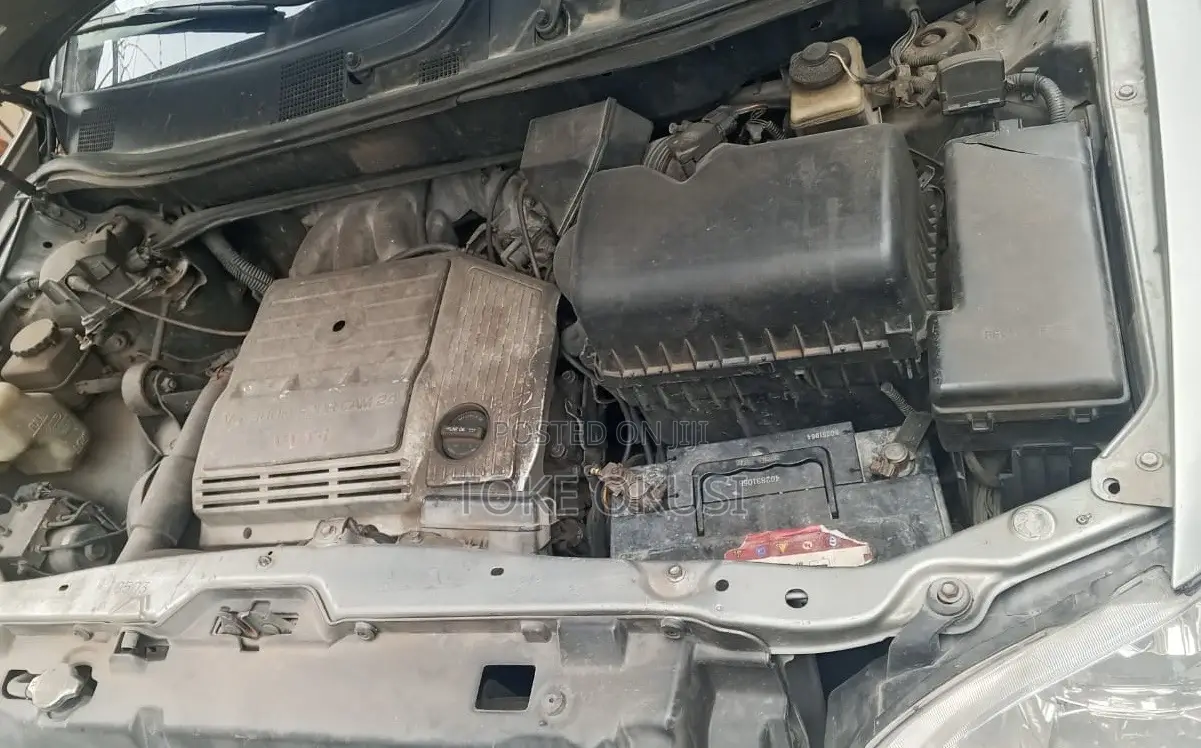 Lexus RX 2002 Gray