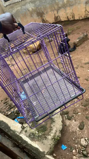 Size 1 Dog Cage for Maximum of 3 Months