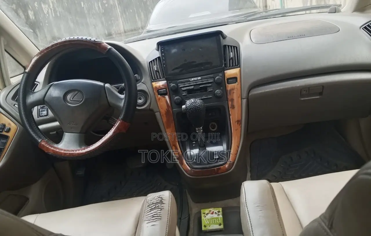 Lexus RX 2002 Gray
