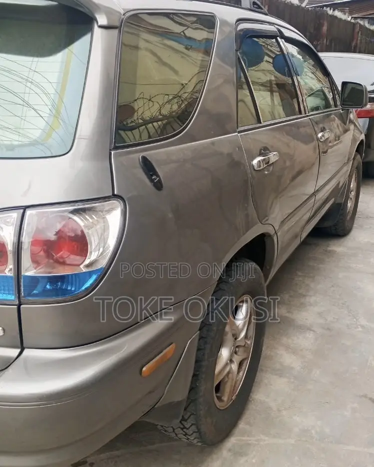 Lexus RX 2002 Gray