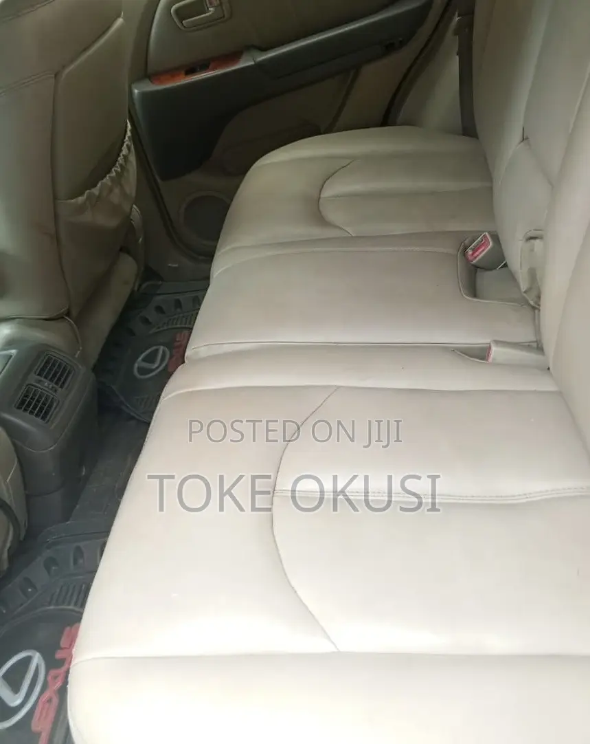 Lexus RX 2002 Gray