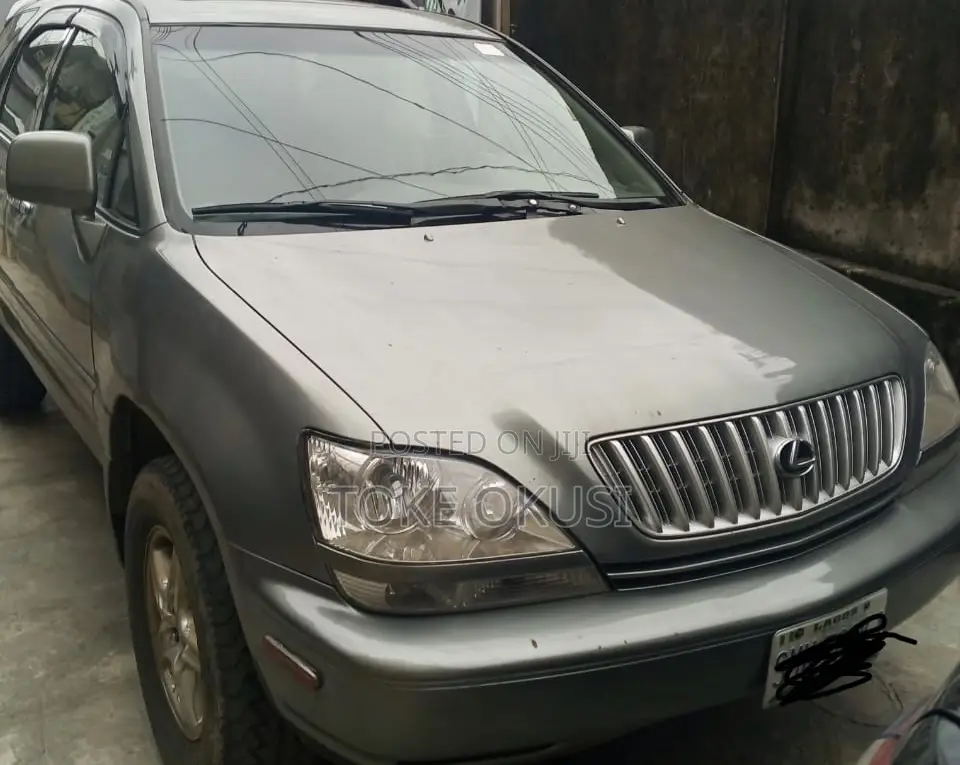 Lexus RX 2002 Gray