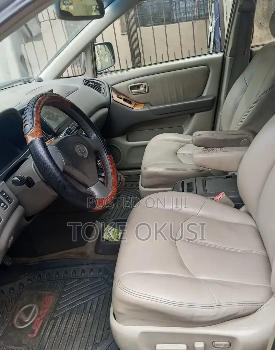 Lexus RX 2002 Gray
