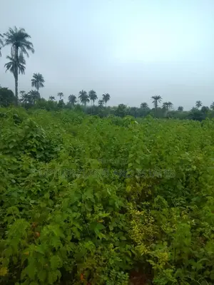 500 Acres Available for Sale in Oyo State at Cheaper Price