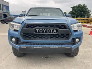 Toyota Tacoma 2019 Blue