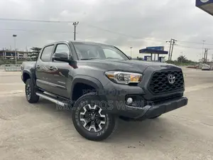 Toyota Tacoma 2017 Gray