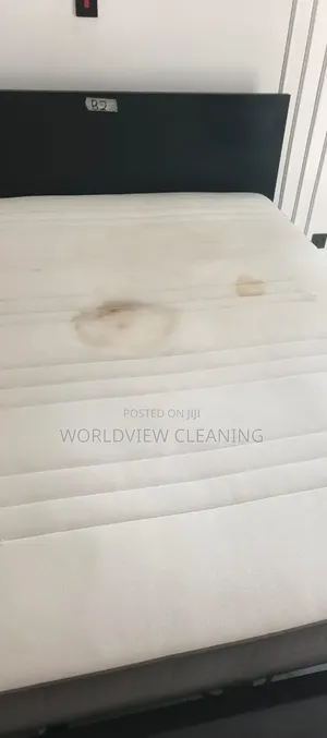 Cleaning and Fumigation