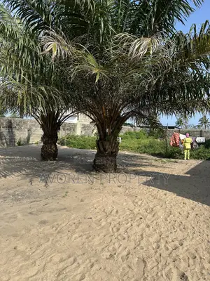 One Plot of Land at Eleko Beach Side Idado Town