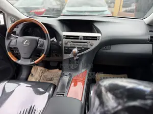 Lexus RX 350 2010 Gray