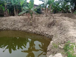 Fish Ponds (4) for Rent