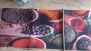 2in1 Kitchen Runner Mat