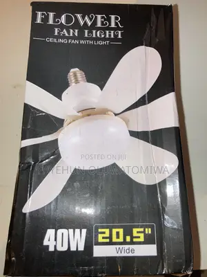 Flower Fan Light