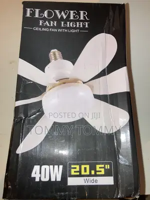 Flower Fan Light