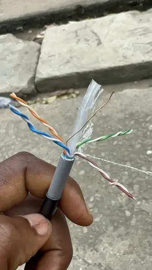 Cat 6 Cable