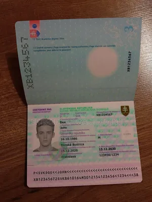 IDs of All Countries