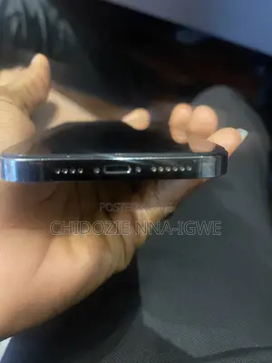 Apple iPhone 13 Pro Max 128 GB Gray