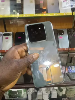 Xiaomi 14 256 GB Gray