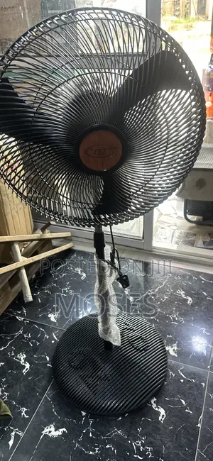 Standing Fan