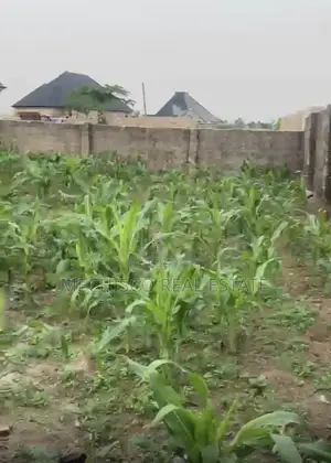 1 Plot of Fully Fenced and Gated Land for Sale in Atali Eneka