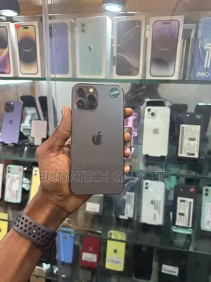 Apple iPhone 12 Pro Max 128 GB Gray