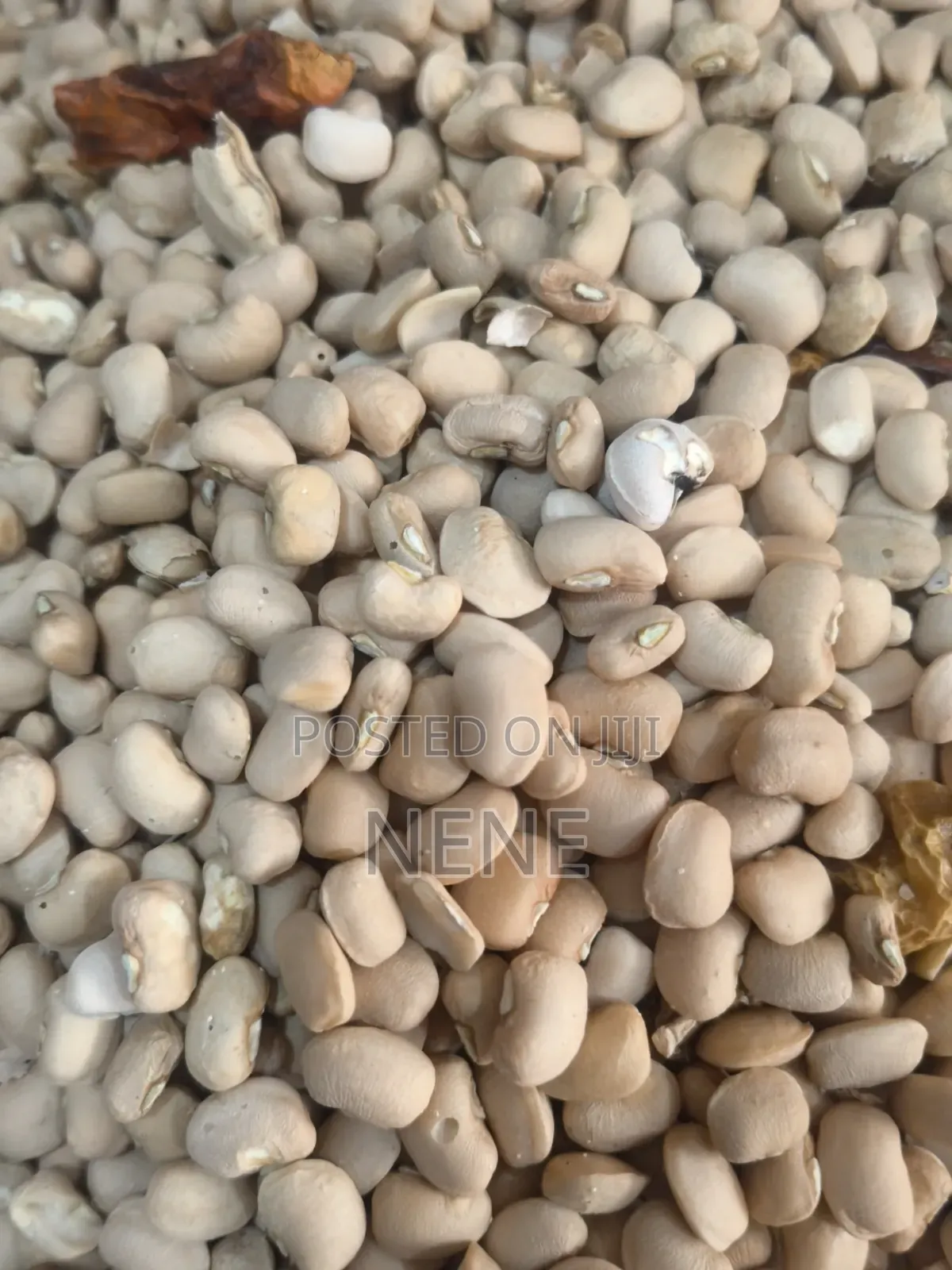 Clean Honey Beans
