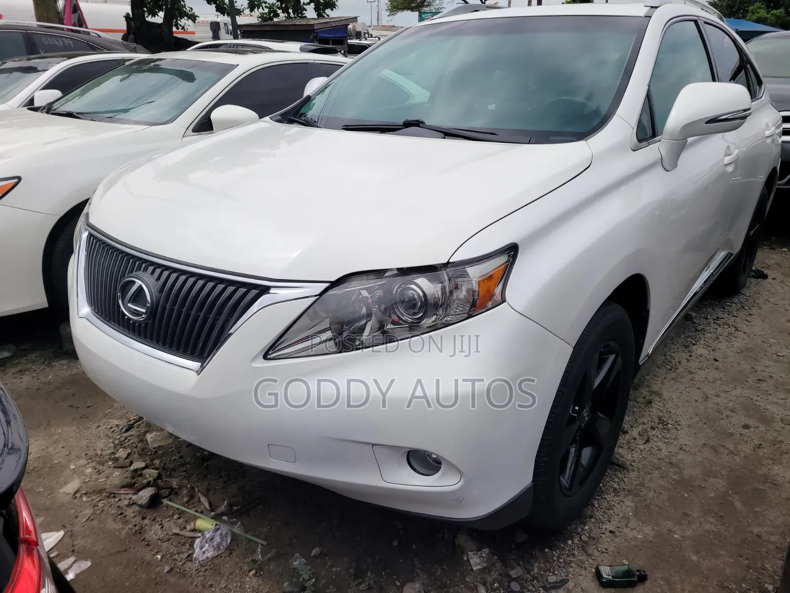 Lexus RX 2010 White