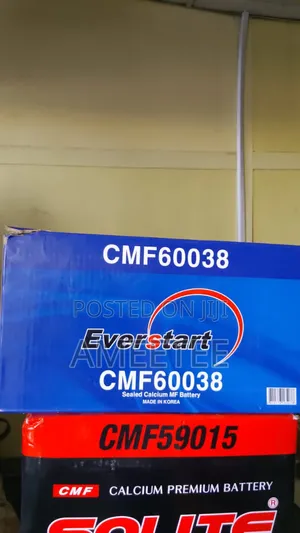 100ah Everstart
